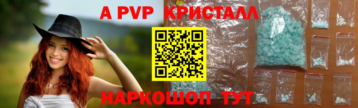 Альфа ПВП крисы CK  Вход с VPN  Амурск 