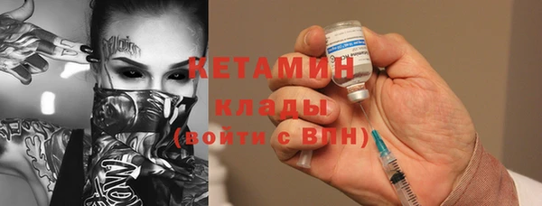 шишки Пересвет
