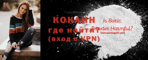 шишки Пересвет