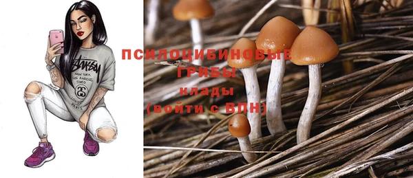 хмурый Остров