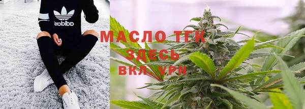 шишки Пересвет