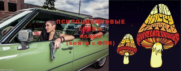 ешки Переславль-Залесский