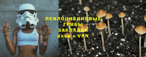 ешки Переславль-Залесский
