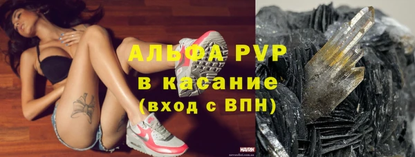 дживик Осташков