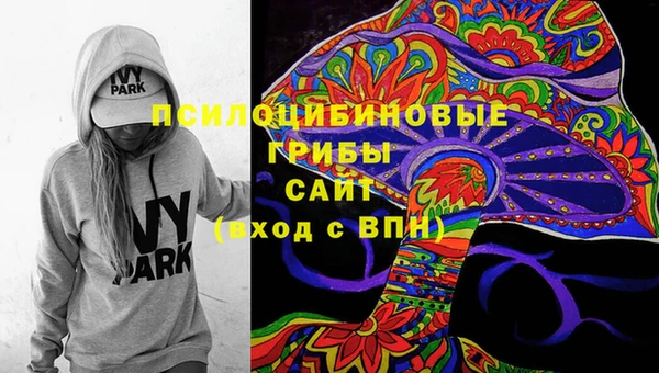 ешки Переславль-Залесский