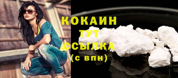 шишки Пересвет