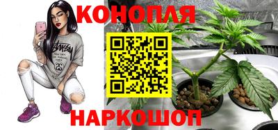 ГАЛЛЮЦИНОГЕННЫЕ ГРИБЫ Азнакаево