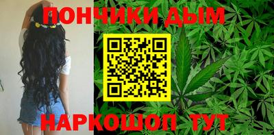 дмт Гатчина