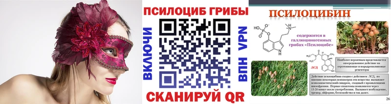 гидра как зайти Амурск Псилоцибиновые грибы Cubensis