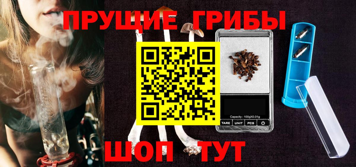 Псилоцибиновые грибы Cubensis Амурск