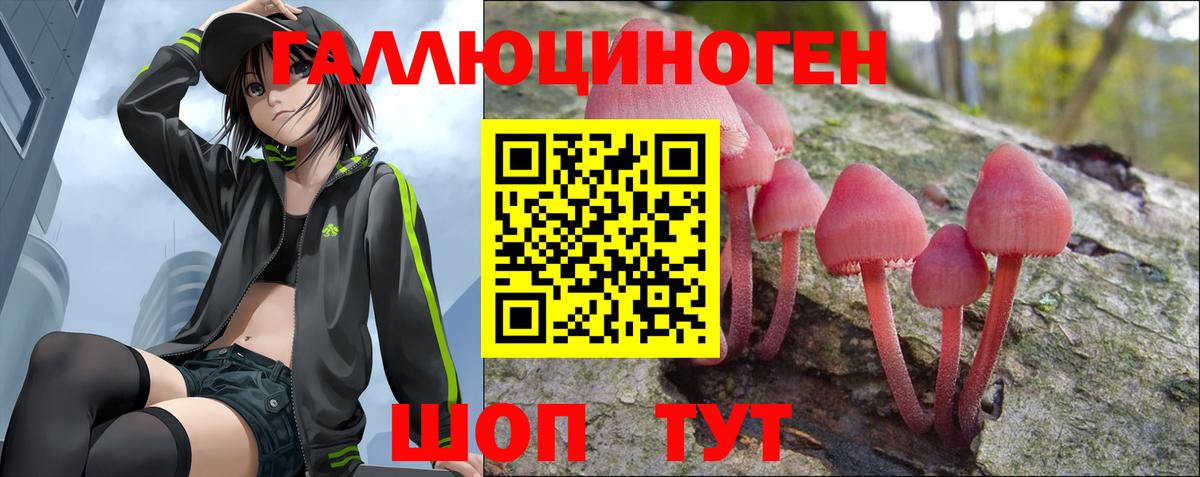 Псилоцибиновые грибы MAGIC MUSHROOMS  Амурск 