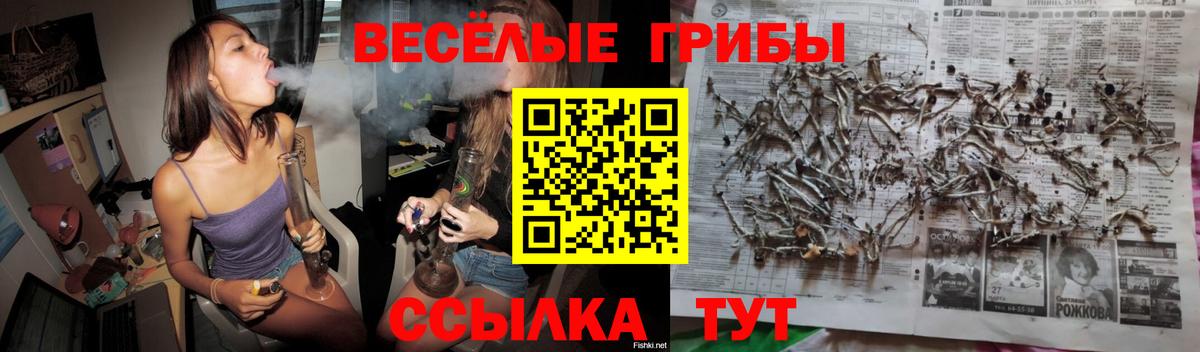Псилоцибиновые грибы Psilocybe  Вход с VPN  продажа наркотиков  Амурск  Псилоцибиновые грибы Psilocybine cubensis 