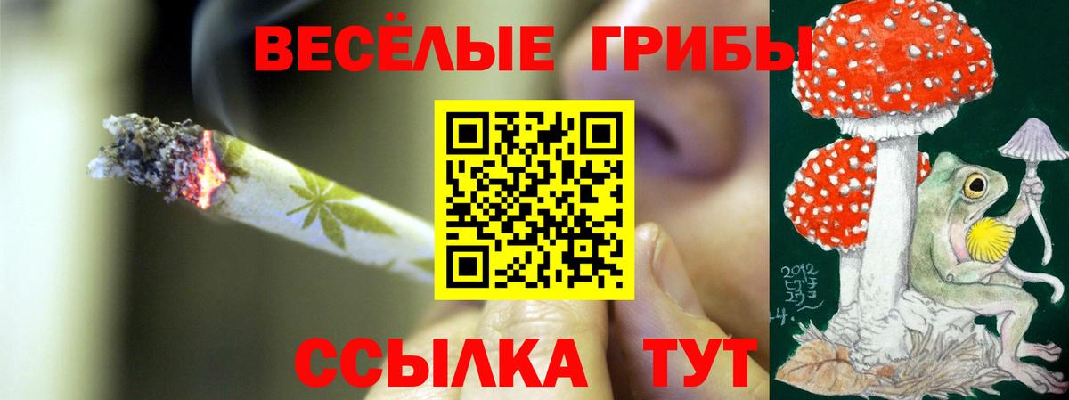 Галлюциногенные грибы MAGIC MUSHROOMS Амурск